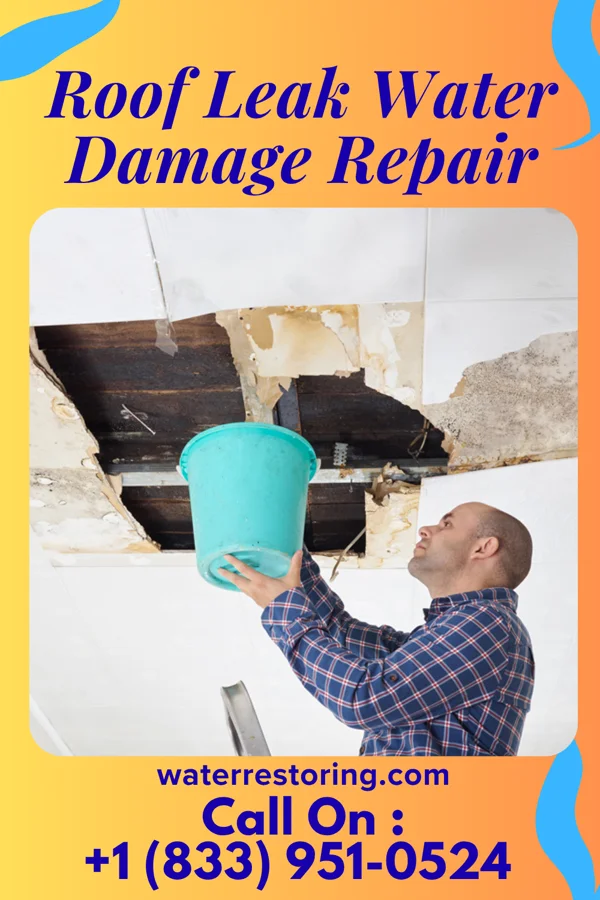 Roof Leak Water Damage Repair in Dutton, MT